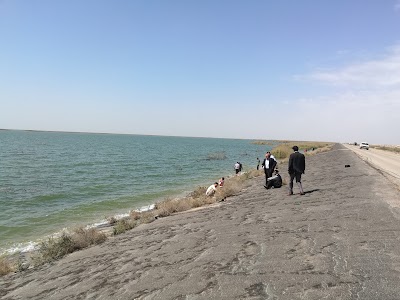 Photos of هور الدلمج