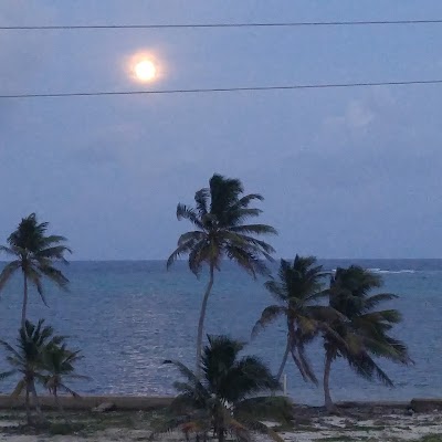 Photos of Reef Village Resort