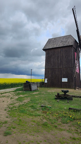 Wiatrak "Paltrak" Olandia