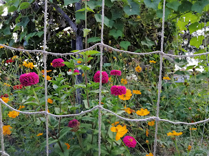 Photo n°25 de Conservatoire des Légumes anciens du Béarn (CLAB) à Assat (Verger)