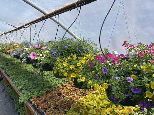 Whistle Stop Farm & Flowers - Thumbnail