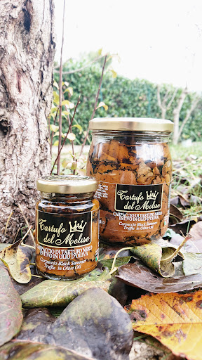Tartufo del Molise