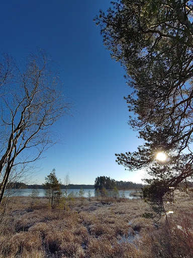 Visjön - Visual
