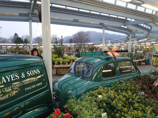 Hayes Garden Centre - Thumbnail