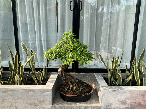 Bonsai Sea&Pool Villa