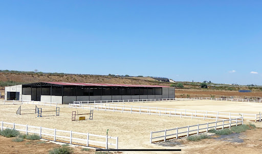 Club hípico Horse Sport Arena - Thumbnail