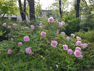 Photo n°17 de Maison d’hôtes Le Parc à Labruguière (Maison d'hôtes)