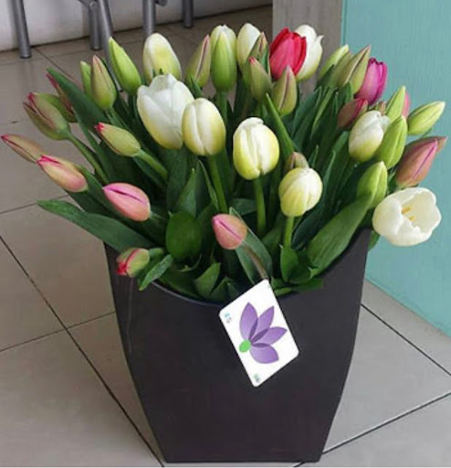 Rosy Florería