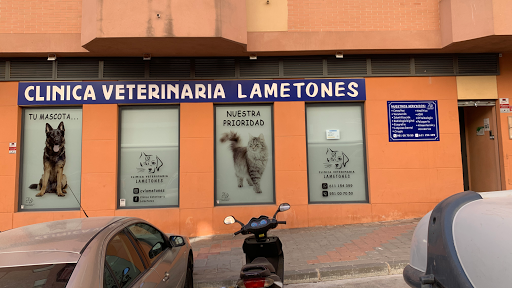 Clínica Veterinaria Lametones