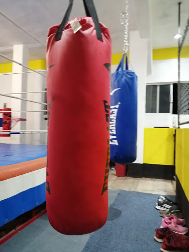Torrestra Gym - Thumbnail