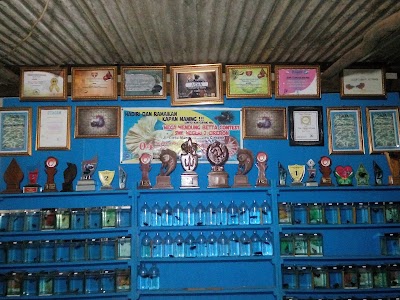 Photos of Asha Cupang Astapada