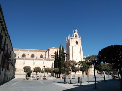Photos of Museo De Palencia