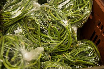 Photos of VegCo Farm