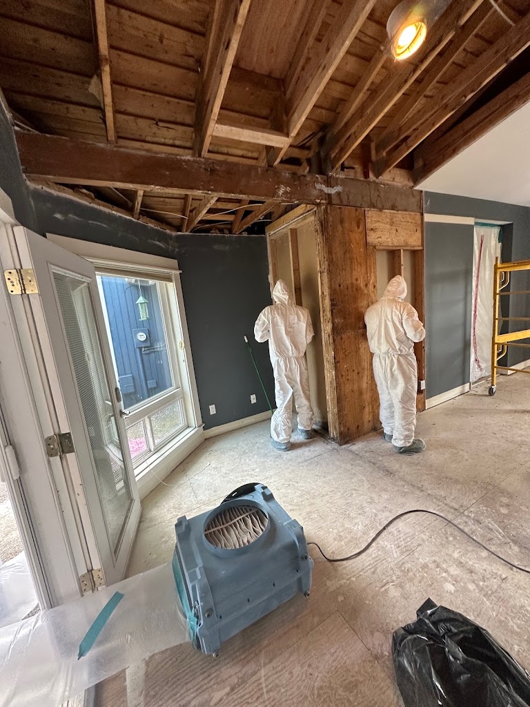 All Things New Restoration photo