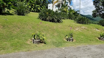 Photos of Orquideario de Soroa