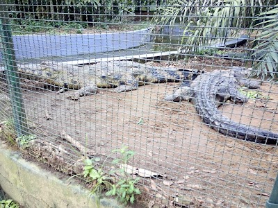 Photos of Zoo d'Abidjan