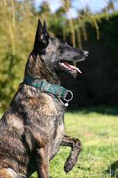 Photo n°5 de B Wild Shop à Janville-sur-Juine ()