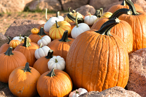 Fall Mountain Farm - Thumbnail