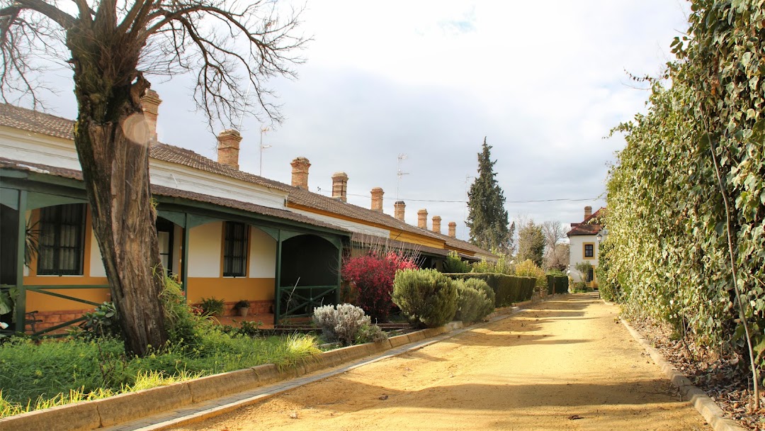 Interruptor vintage. Barrio inglés de Bella Vista. Riotint…