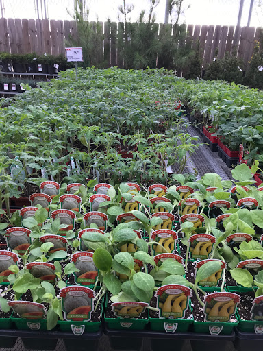 Pauls Valley Ace Home Center - Thumbnail