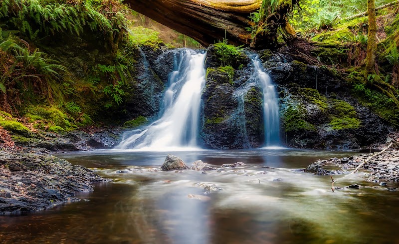 Waterfalls Longevity Center