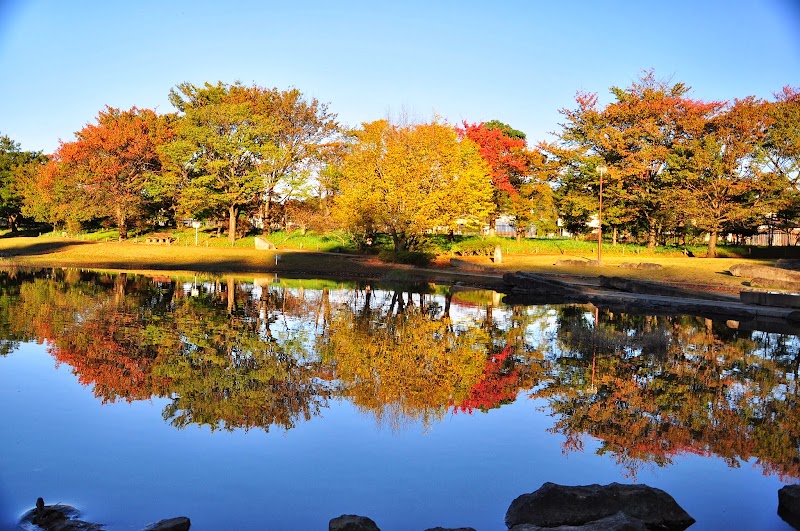 清瀬金山緑地公園 東京都清瀬市中里 公園 公園 グルコミ