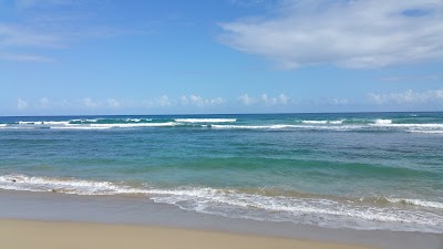 Photos of El Choco National Park