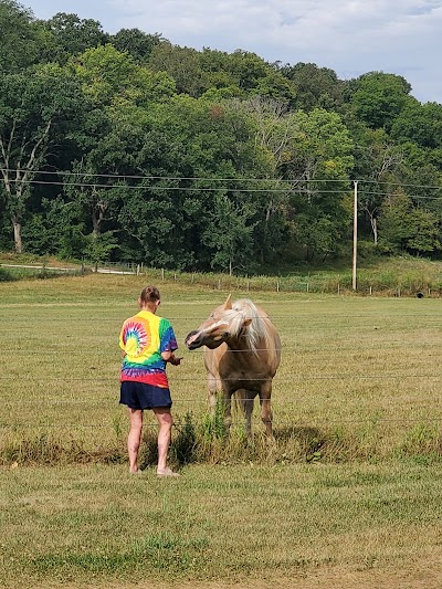 Hutchinson Family Farms