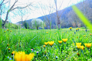 Photo n°60 de LE KATALPA à Comprégnac (Restaurant)