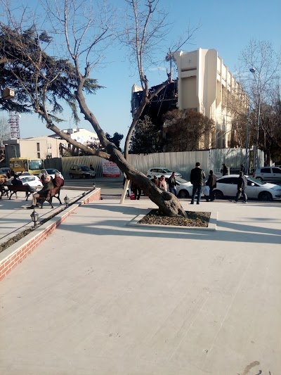 Photos of Tekirdağ B&uuml;y&uuml;kşehir Belediyesi
