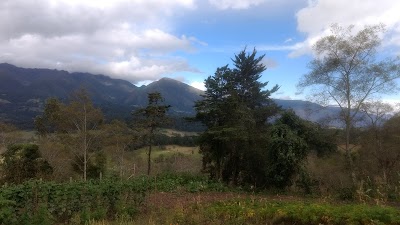 Photos of Finca Corazon