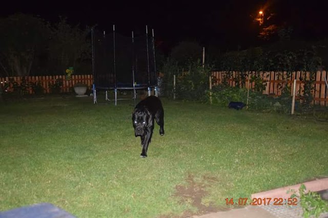 Revierpark Mattlerbusch