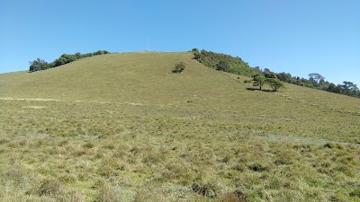 Photos of Marania Farm