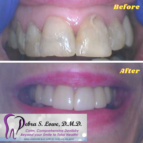 Debra S. Lowe D.M.D Inc - Thumbnail
