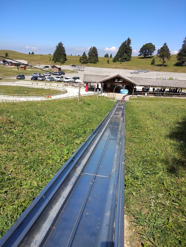 Luge d'été
