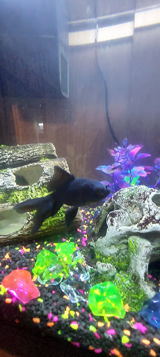 Harveys Aquatics - Thumbnail