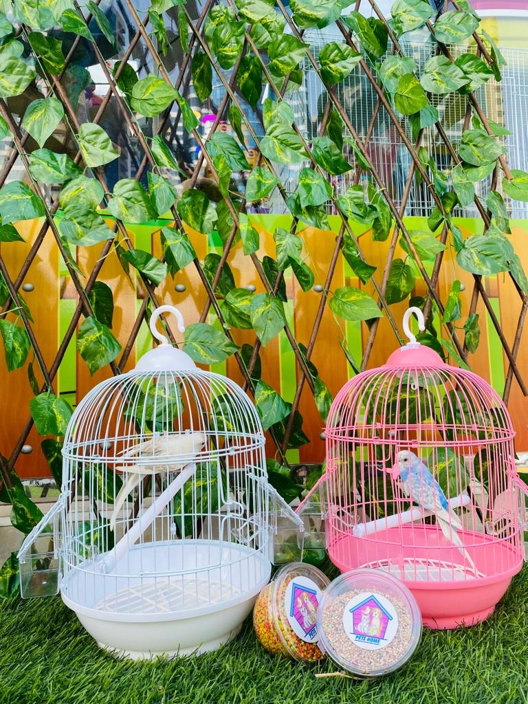 Pets Home Ornamental Fish & Birds Trading & Grooming بيتس هوم لتجارة الاسماك٫طيور الزينة والحيوانات الاليفة - صالون للحيوانات - صورة 4