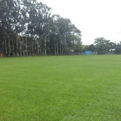stadium