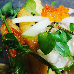 Photo n°17 de Octopus à Lille (Restaurant français)