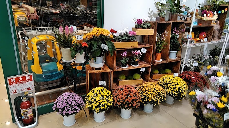 はなごよみ 長野県佐久市中込 花屋 花 グルコミ