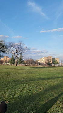 Roy Wilkins Park by null