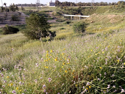 Nahal Kovshim Park, Author: Alex Burstein