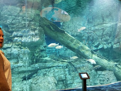Reiman Aquarium