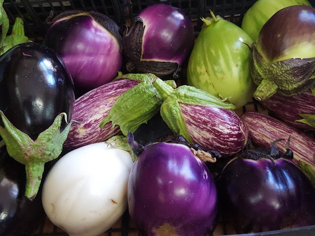 BIO FOOD - Negozio Biologico e Intolleranze Alimentari