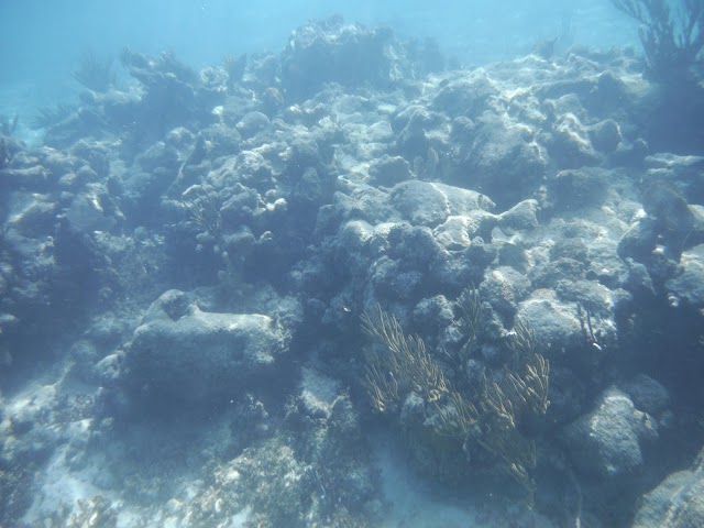 Secrets Akumal Beach