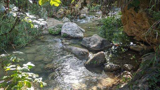 Charco Maravilla - Thumbnail