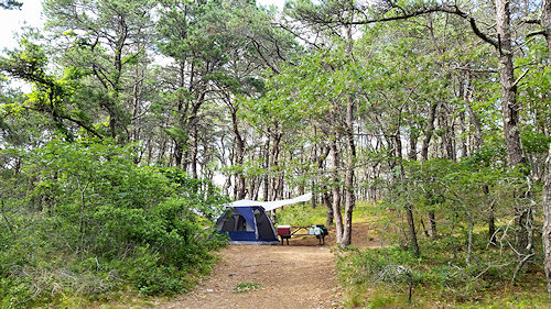 North of Highland Camping Area by null