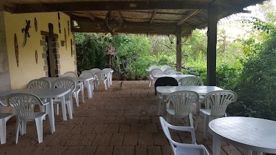 Photos of Lemur Park