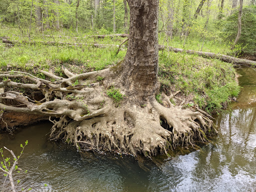 Fred Crabtree Park - Thumbnail