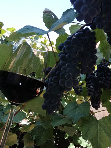 Unter dem Wein - Thumbnail